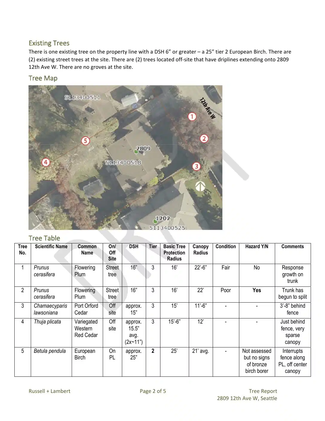 Site plan for 2809 12th Ave W