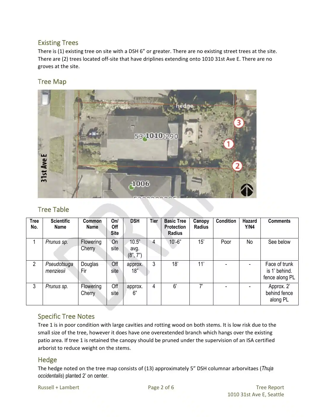 Site plan for 1010 31st Ave E